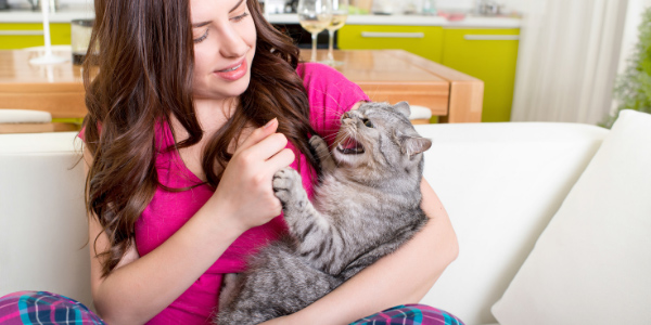 woman sitting on couch holding cat with snarling face
