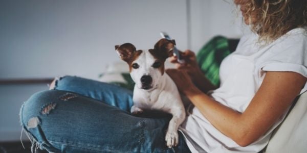 woman sitting with jack russell on couch