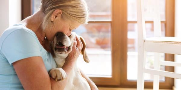 woman snuggling with Beagle