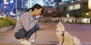 woman training pomeranian to sit and stay outside
