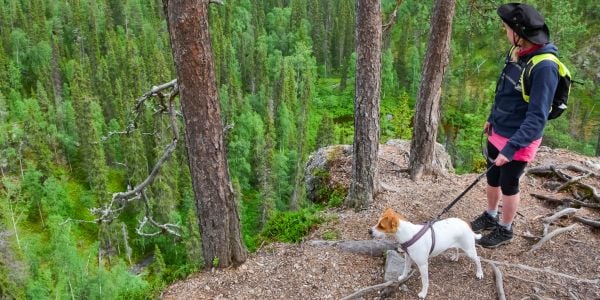 women hiking with her jack russell terrier