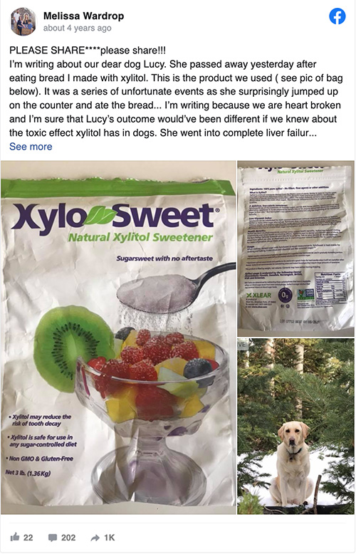 xylitol dog warning Lucy post