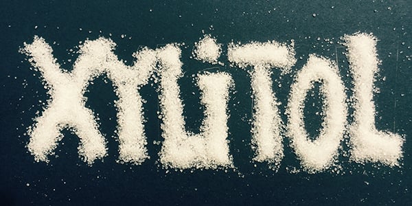 Xylitol: Everything You Need to Know