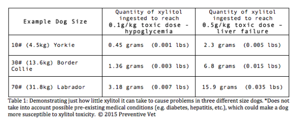 Xylitol: A sugar-free sweetener your dog NEEDS you to know about