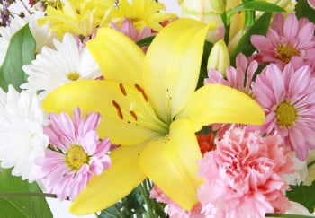yellow easter lily bouquet