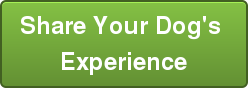Share Your Dog's Experience