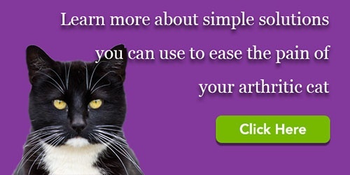 A recent study found that 30% of cats aged 8 and over suffer from arthritis