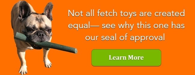 The safest fetch toy for dogs