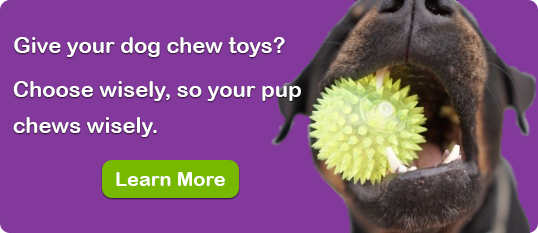 Choose wisely, so your pup chews wisely