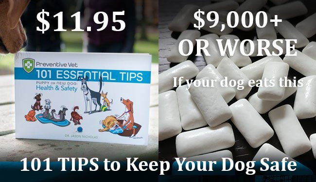 101 Essential Tips Book by Dr. Jason Nicholas
