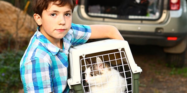 cat carrier for traveling