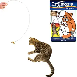 Cat Dancer Original Interactive Cat Toy