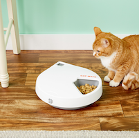 automatic cat feeder