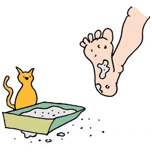 Cat-outside-litter-box.jpg
