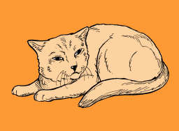 cat in stage three of the pain scale
