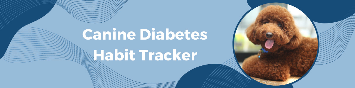 Dog Diabetes Habit Tracker