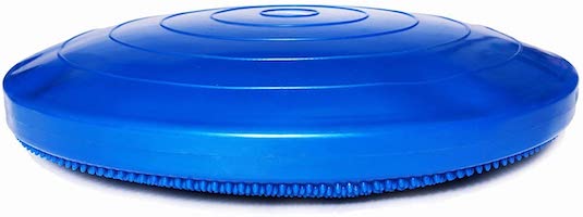 FitPAWS blue balance disc