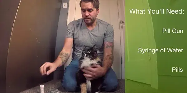 How to Pill Your Cat and Live to Tell About It