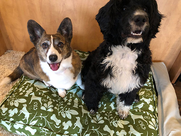how to wash dog bed with stuffing