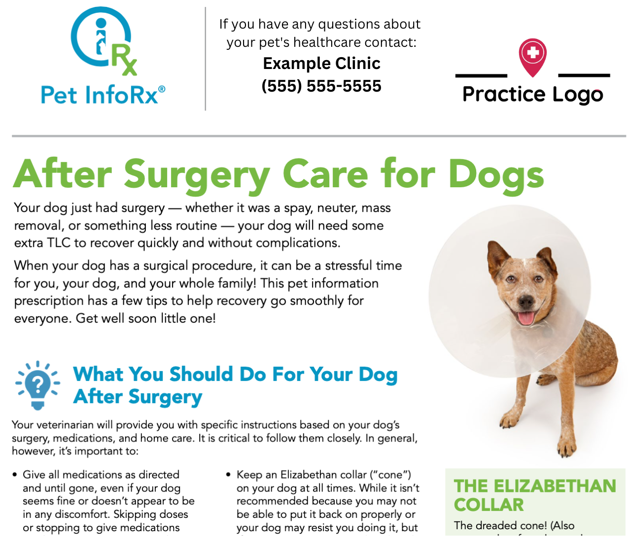 inforx after surgery care branded dog en