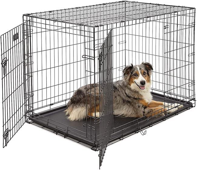 midwest dog crate