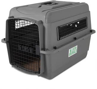 petmate sky kennel dog crate