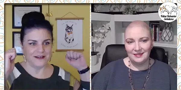 Doctor Marci Koski and LeeAnna Buis talking about senior cats on Facebook live