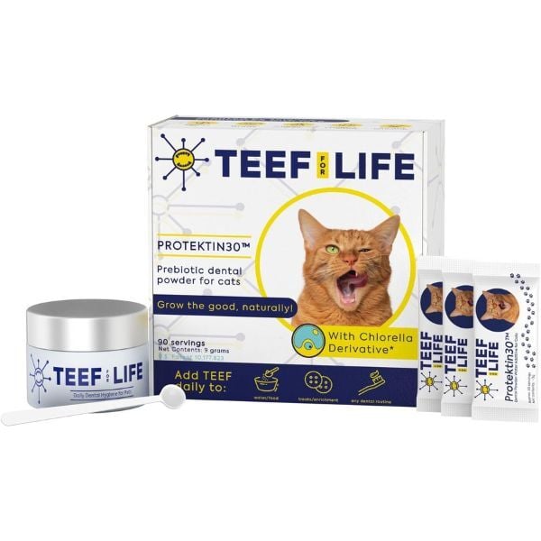 Teef Cat Dental Water Additive