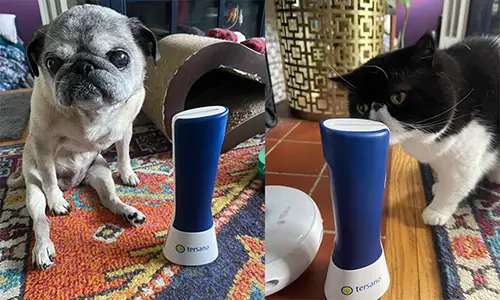 the tersano pet safe cleaner deodorizer