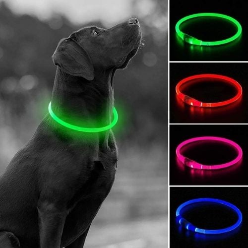 Higo light up dog collar