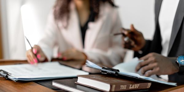 Veterinary Practice Acts by State