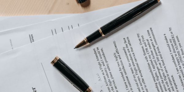 Veterinary Practice Act Model