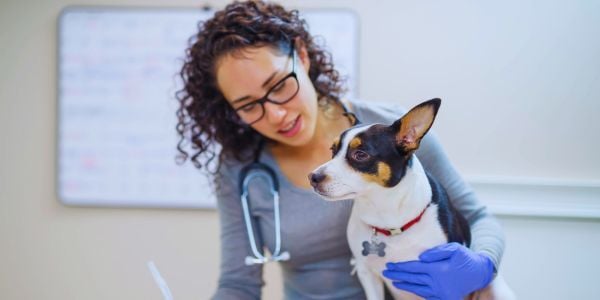 Leveraging New Technology to Boost Practice Efficiency