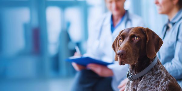 The Key to Client Loyalty