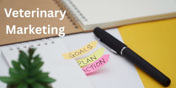 How to Set Veterinary Marketing Goals