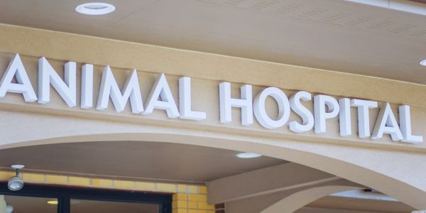 Veterinary Hospital Design