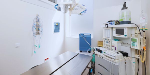Veterinary Architecture