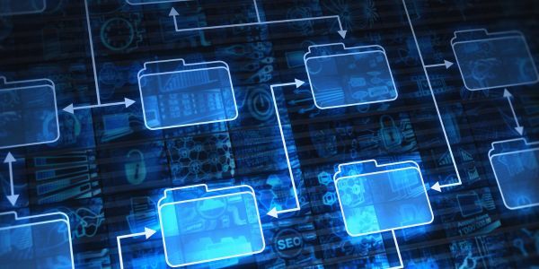 IT Systems in Veterinary Practice