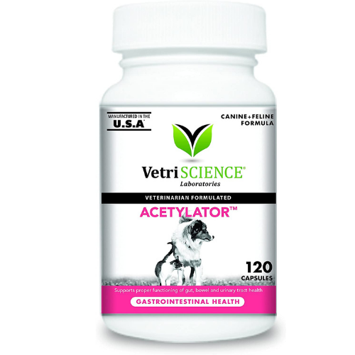 acetylator gastrointestinal health for dogs and cats