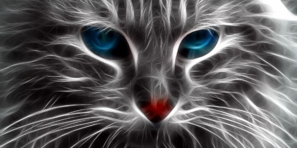 cat with hairball issues