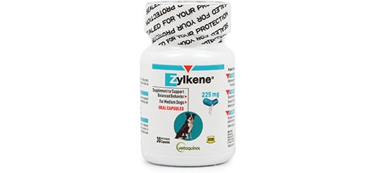 zylkene calming supplement for dogs