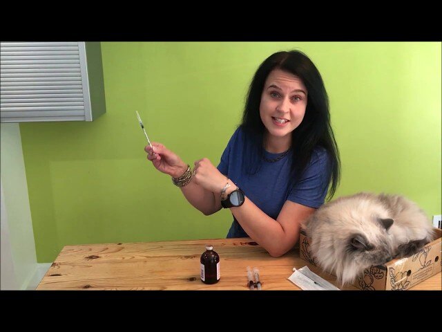 video on how to draw up an injection for your cat