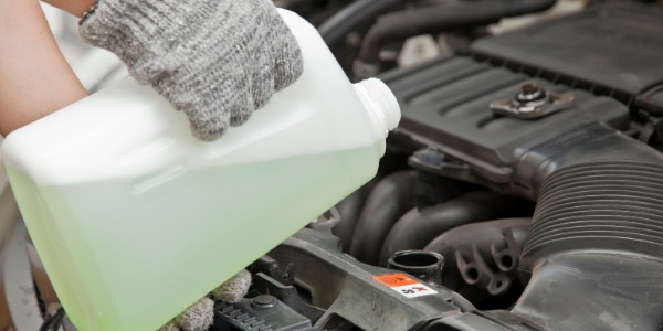 antifreeze is poisonous to pets