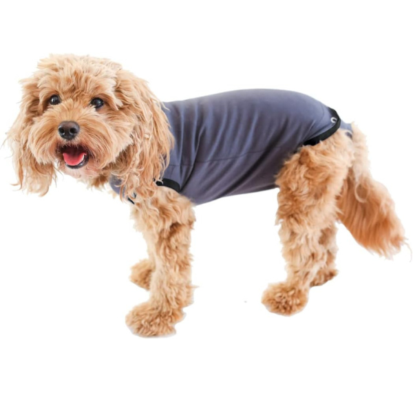 after surgery suit for spay or neuter procedures