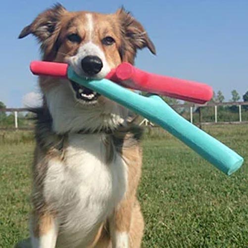 best fetch toy for dogs