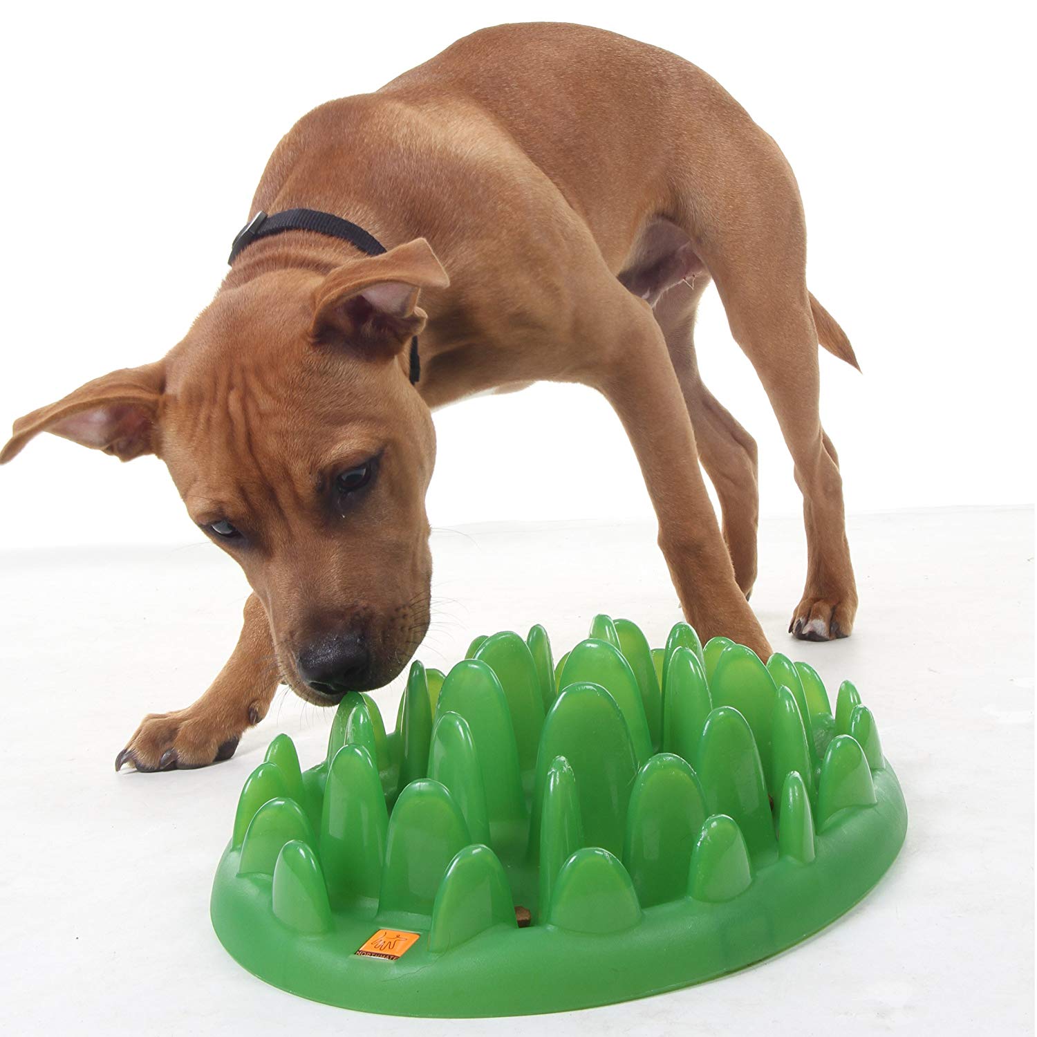 Treat Dispensing Puzzle Toys for Small Dogs, Interactive Chase Toys, Slow  Feeder, Perfect Alternative to Slow Feeder Dog Bowls to Improves Pets