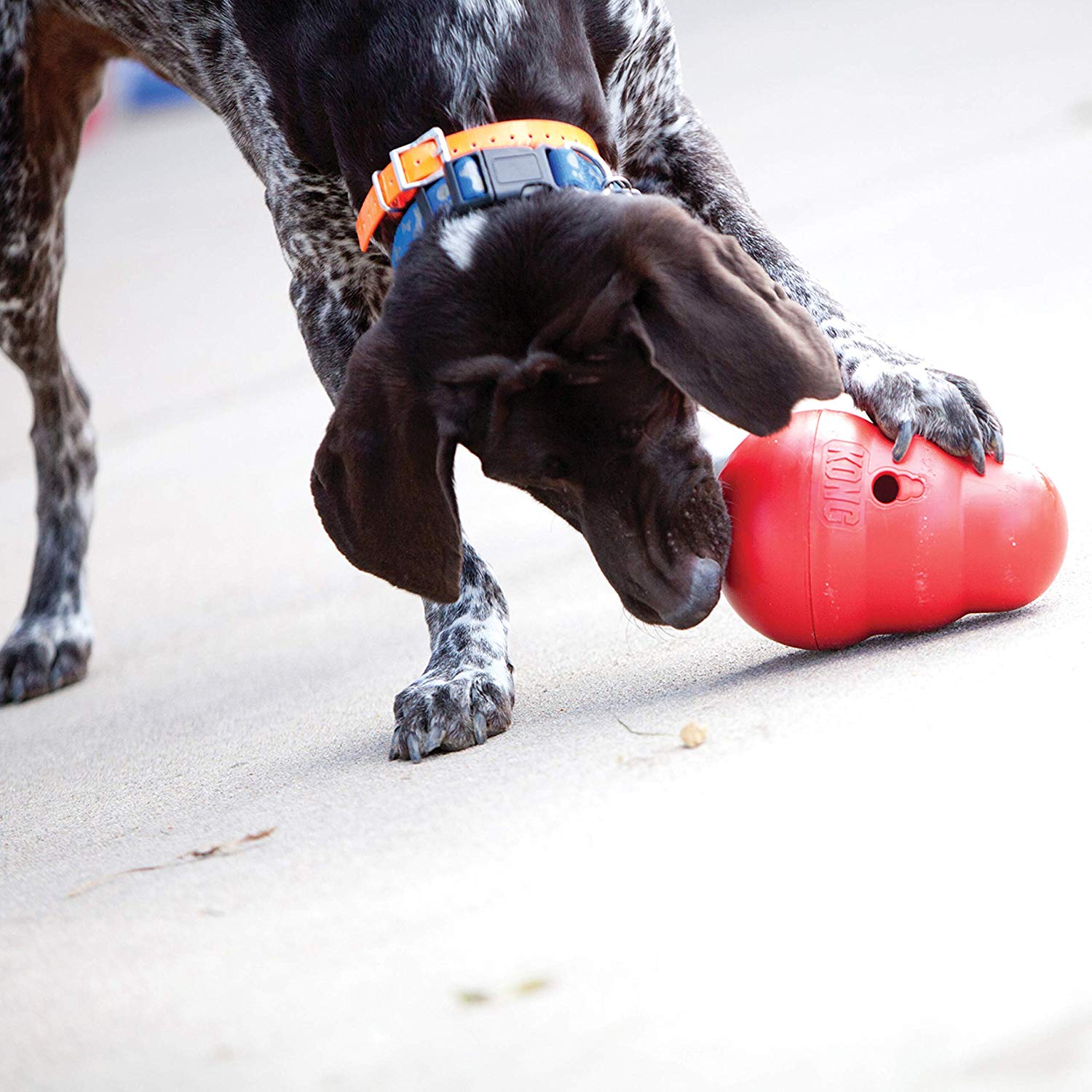 KONG wobbler treat dispensing toy