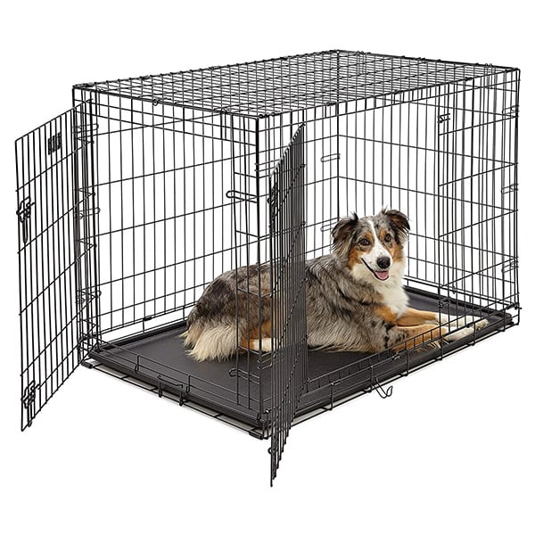 How a Dog Crate Helps with Potty Training and More - Orvis News