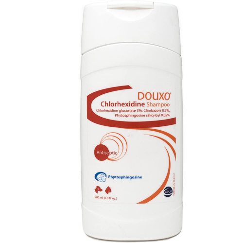 chlorhexidine shampoo for dogs and cats