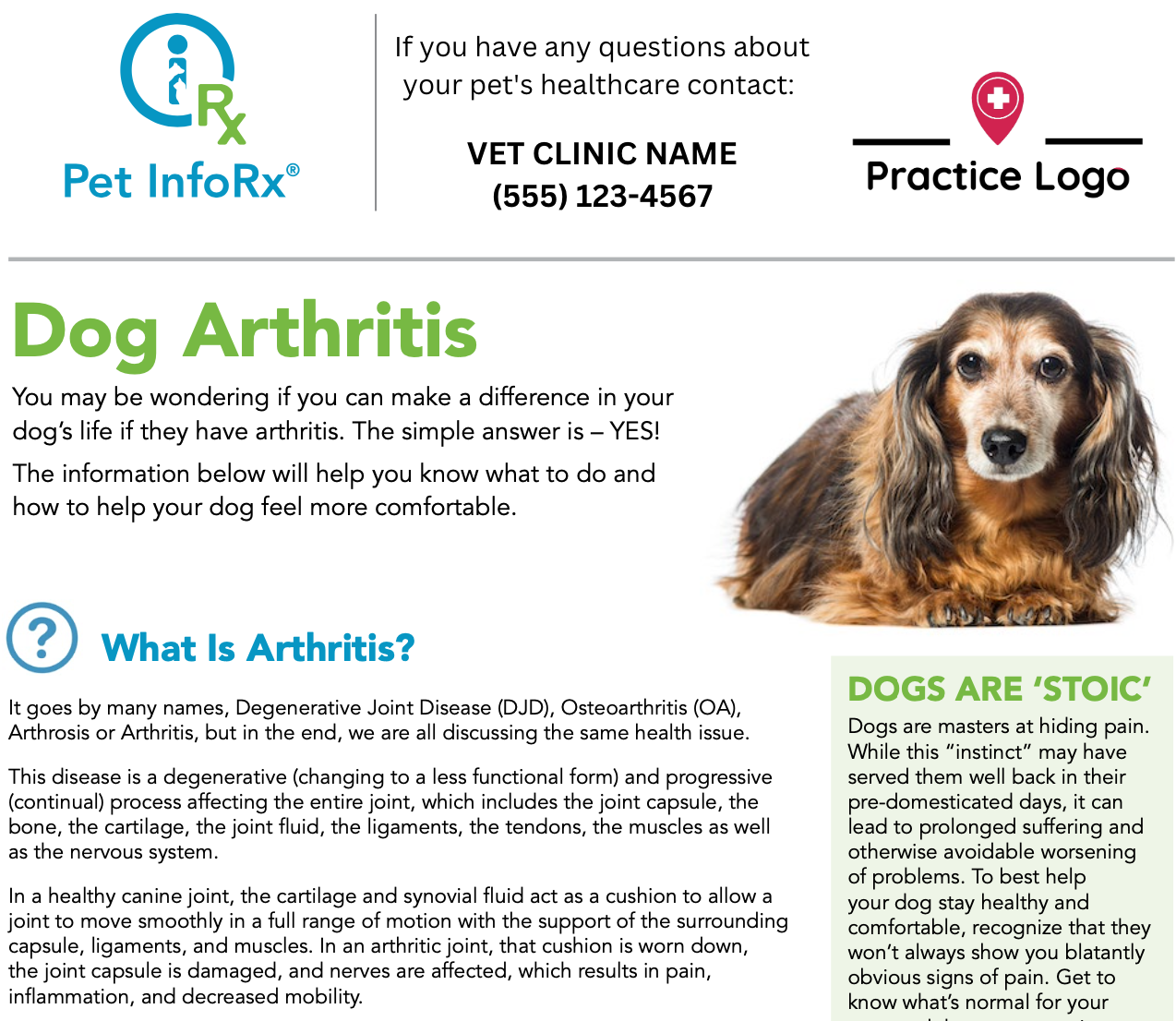 branded info rx dog arthritis -en